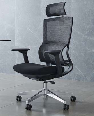 Office Chair: Orthopedic Mesh Seat image 2