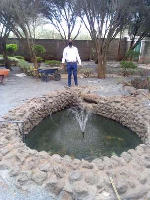 Ornamental fish pond construction maintenance and filtration image 1