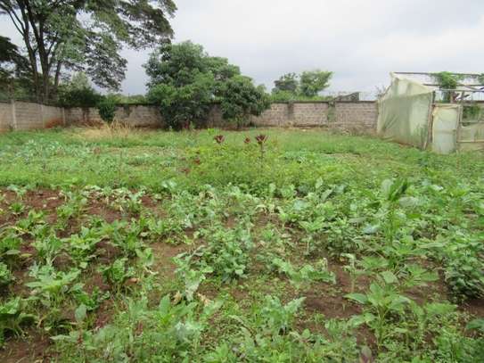 Land at Garden Estate image 15