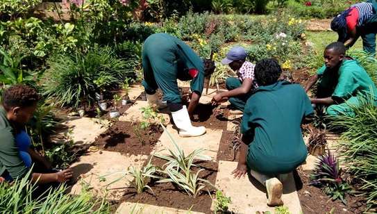 Bestcare Landscaping & gardening services Nairobi,Mombasa image 2