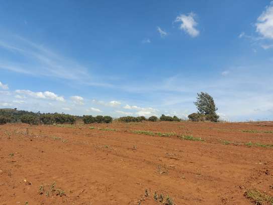 Prime plots in Kikuyu, Kamangu 400m from a new tarmac road. image 4