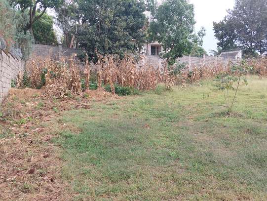 Residential Land at Andrew Zagoritis Road image 2