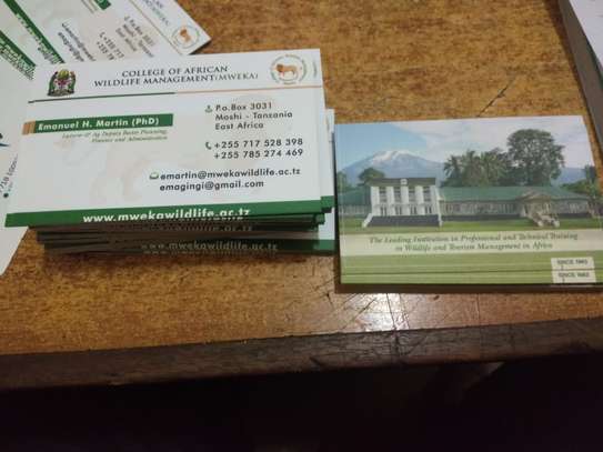 Business cards Printing image 1