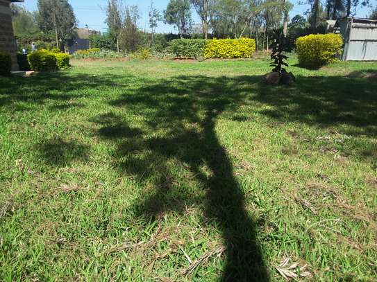 Lovely 5 BR House plus Dsqs in Karen on One Acre Land image 5