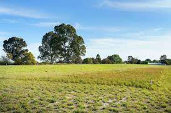 A Block of Land For Sale. image 3