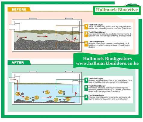 Biodigester Bacteria and Enzymes image 3
