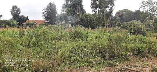 Commercial Property in Nyari image 3