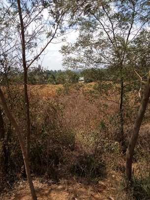 Kamangu Plot image 7