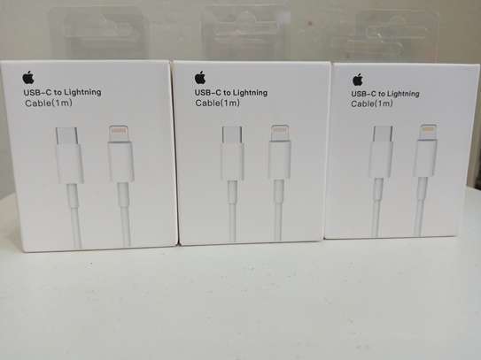 Apple USB-C To Lightning Cable (1 M) image 2