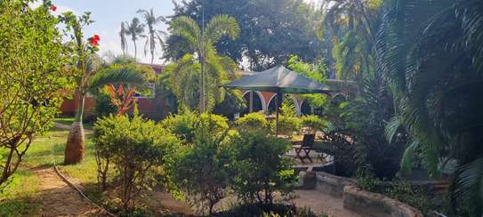 3 Bed Villa with En Suite at Bokoboko image 13