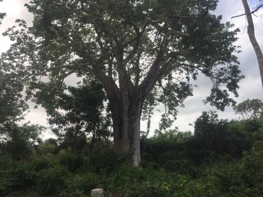 Land in Diani image 10