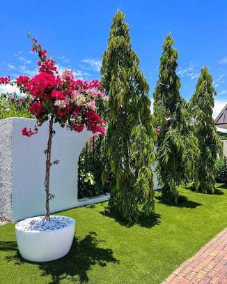 Landscaping company service provider image 3