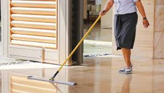 24/7 Home Cleaning Services |Office Cleaning | Housekeeping Services | Carpet & Upholstery Cleaning Services | Landscaping and Gardening Services | Swimming Pool Cleaning & Maintenance Services | Nannies & Domestic Workers.Call Us Now. image 7