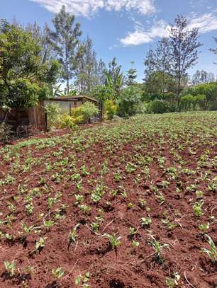 0.045 ha Residential Land at Kikuyu Kamangu image 3