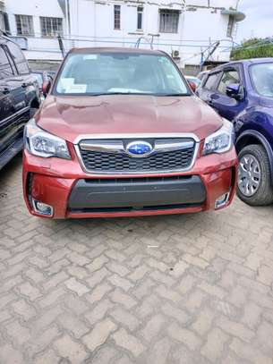 Subaru Forester XT Red wine image 3