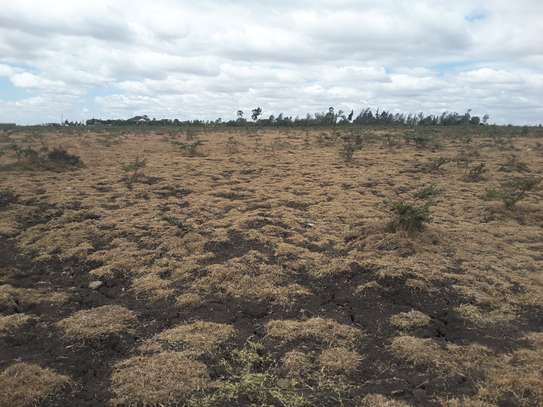 10 ac land for sale in Ongata Rongai image 15