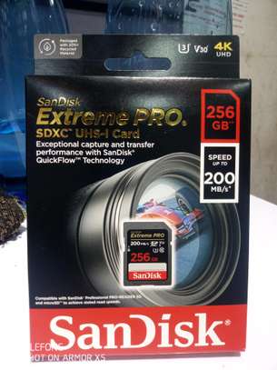 SD 256gb Extreme Pro image 5