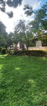 Commercial Property with Garden in Lavington image 7
