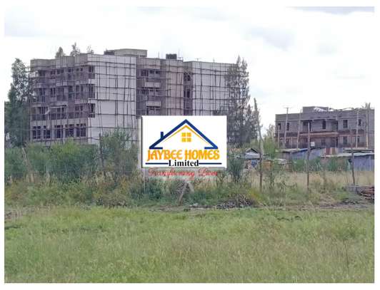 Katani Gardens (Touching Tarmac) image 4