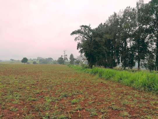 land for sale in Tigoni image 5