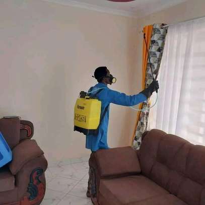 Bedbugs Extermination Services image 1