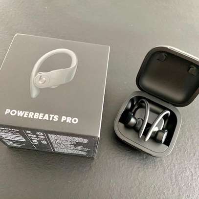 Beats by Dre Powerbeats Pro True Wireless Earbuds image 5