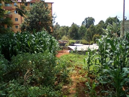 1/4-Acre Plot For Sale in Wangige image 5
