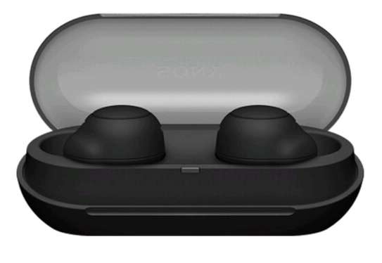 Sony WF-C500 TWS Earbuds image 2
