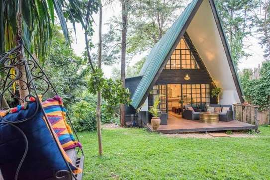 A-Frame wooden villa construction image 5