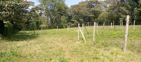 Prime Land in Kahara/Matasia image 4