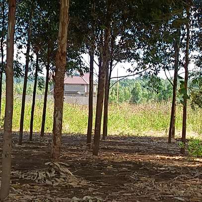 1/4 plot for sale at Limuru Ndeiya 100m from tarmac. image 2