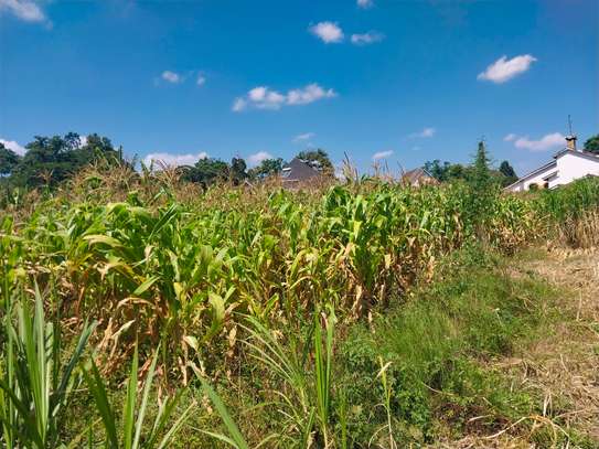 0.5 ac Land in Ridgeways image 2