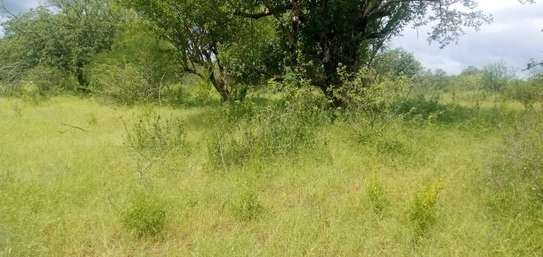 100 Acres Available for Sale in Mutomo Kitui County image 3