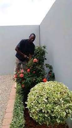 Nakuru Maid Services - House Help Cleaning Services image 6
