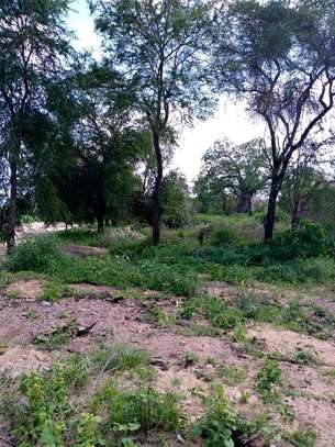 720 acres of virgin along the river kibwezi Makueni County image 2