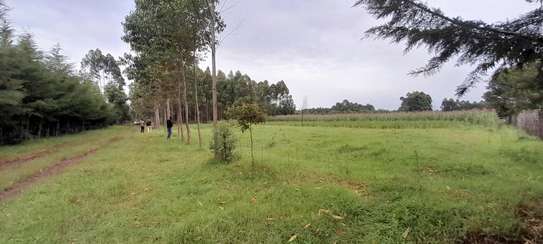 10 ACRES ON SALE IN NGERIA ELDORET image 4