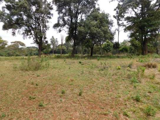 0.5 ac Residential Land at Nyari image 20