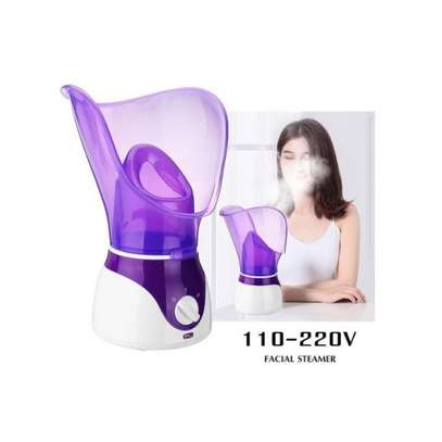 Deep Cleaning Facial Sauna Steaming/ Hydration Machine image 2