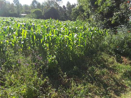 1000 m² residential land for sale in Ngong image 7