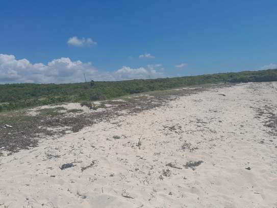 20 Acres Of Beach Land In Kikambala Kilifi Is For Sale image 3