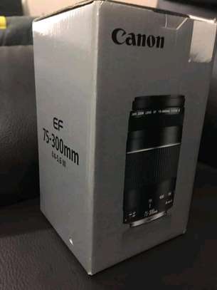 Canon EF 75-300mm F/4-5.6 Iii image 1