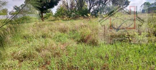 Prime ½acre,Clean title image 2