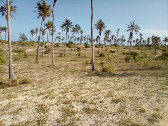 50-Acre Beach Plot For Sale in Bofa/Kilifi image 8