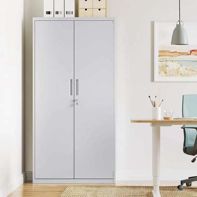 Office Cabinet: 2-Door Metallic Office Cabinet image 6