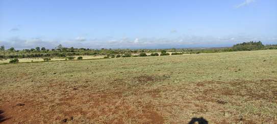 30 ACRES PROPERTY FOR SALE IN NAROMORU WITH A RIVER FRONTAGE image 2