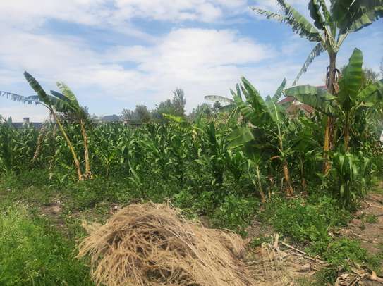 Quarter Acre Land for sale at Syokimau image 6