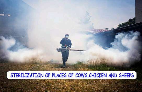 Khongus Fumigation Services image 5