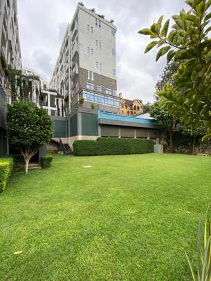 Furnished 3 Bed Apartment with En Suite in Spring Valley image 15