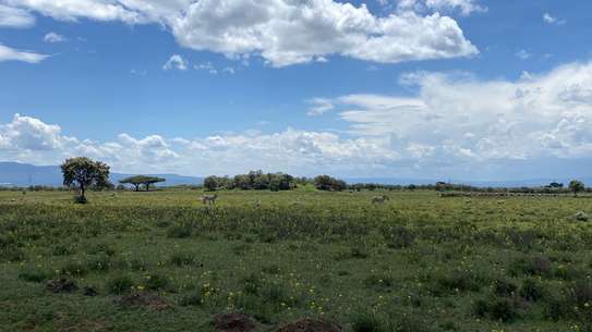 0.4 Acre Land For Sale in Naivasha , Pana Ranch image 3
