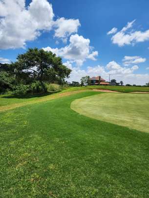 0.25 ac Residential Land at Migaa Golf Estate image 5